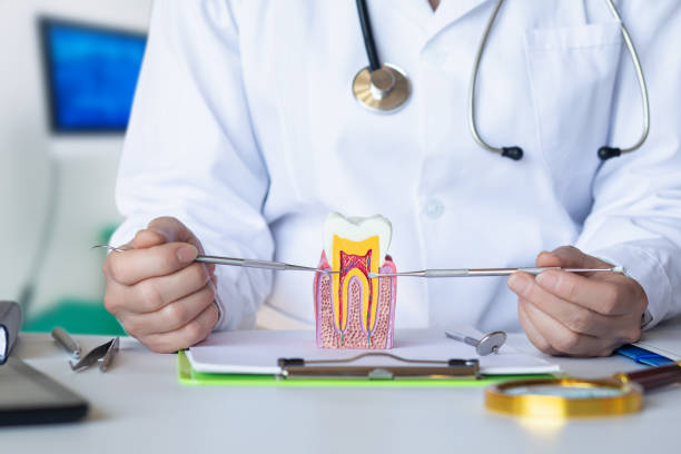 Best Emergency Dentist for Knocked-Out Tooth in Ferguson, MO